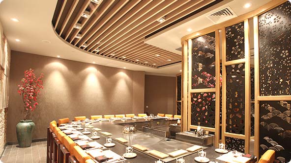 异形铁板烧设备